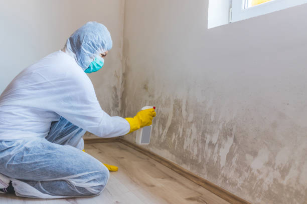 Crawl Space Mold Removal in Fall Creek, WI
