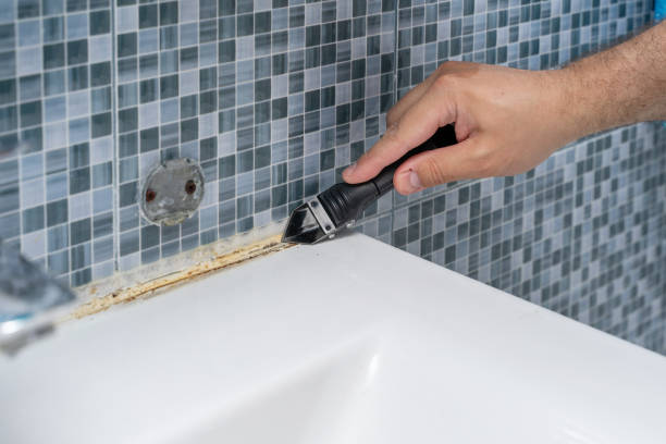 Best Affordable Mold Removal  in Fall Creek, WI