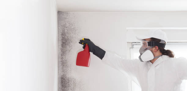 Best Crawl Space Mold Removal  in Fall Creek, WI