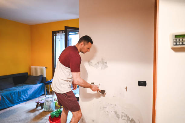 Fall Creek, WI Mold Removal Company
