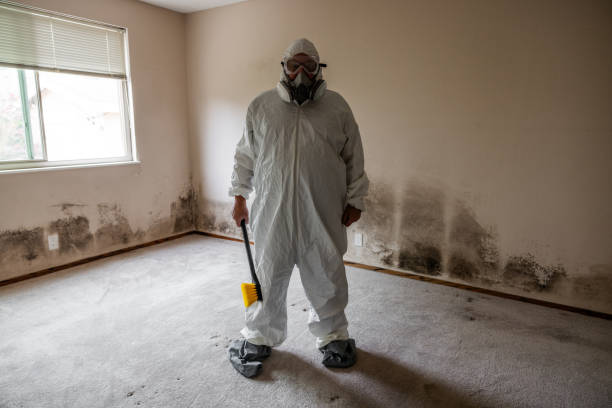 Best Crawl Space Mold Removal  in Fall Creek, WI